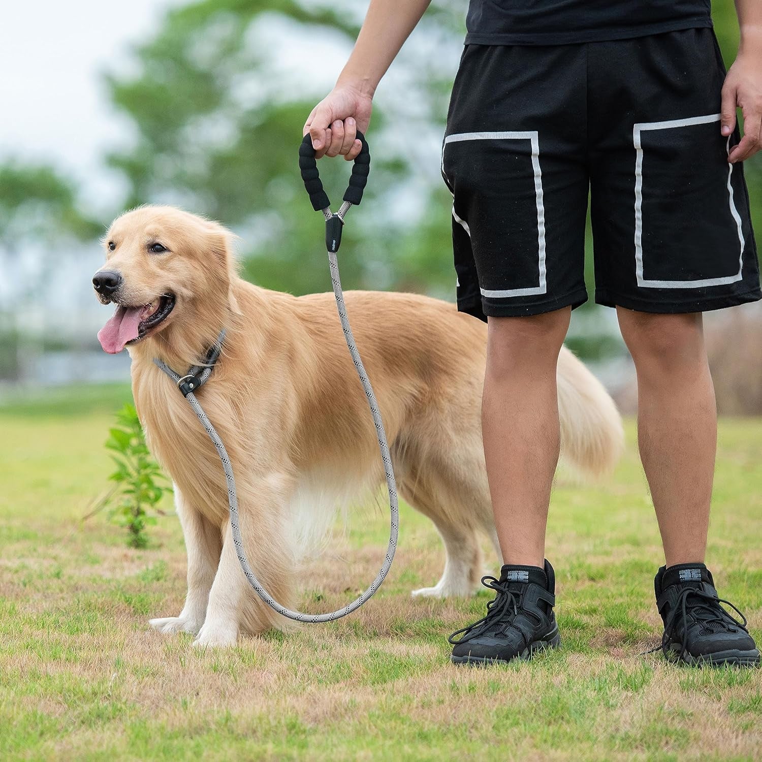 Durable Slip Lead Dog Leash – 6 FT Training Leash with Padded Handle & Reflective Threads | No-Pull, Strong & Comfortable Rope Leash for Small, Medium & Large Dogs (1/2" x 6 FT, Grey)