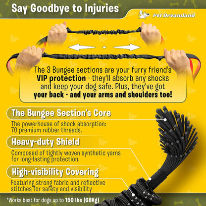 Hands-Free Dual Dog Leash with Waist Belt – No-Tangle Bungee Lead for Walking, Running, and Training Two Medium Dogs (Dark Grey & Pink)