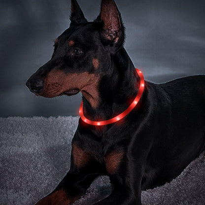 LED Dog Collar – USB Rechargeable Glow in the Dark Necklace for Dogs & Cats | Cuttable Silicone Light-Up Collar with 3 Flash Modes, Waterproof & Visible up to 500m (Red)