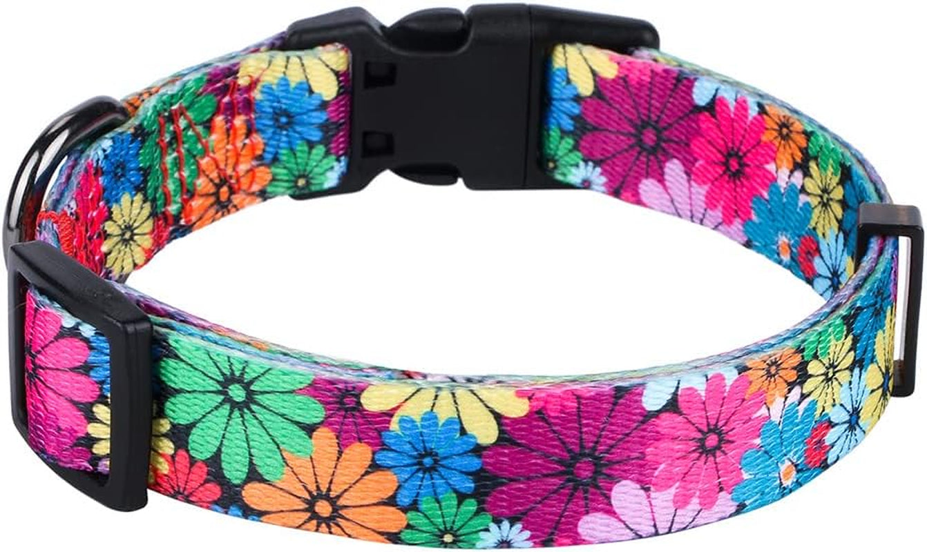 Dog Collar for Small, Medium & Large Dogs – Adjustable Floral Pattern Collar for Girl & Boy Dogs – Comfortable & Durable with Safety Buckle & D-Ring (Medium: Neck 13.1"-19", Width 3/4")