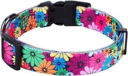 Dog Collar for Small, Medium & Large Dogs – Adjustable Floral Pattern Collar for Girl & Boy Dogs – Comfortable & Durable with Safety Buckle & D-Ring (Medium: Neck 13.1"-19", Width 3/4")