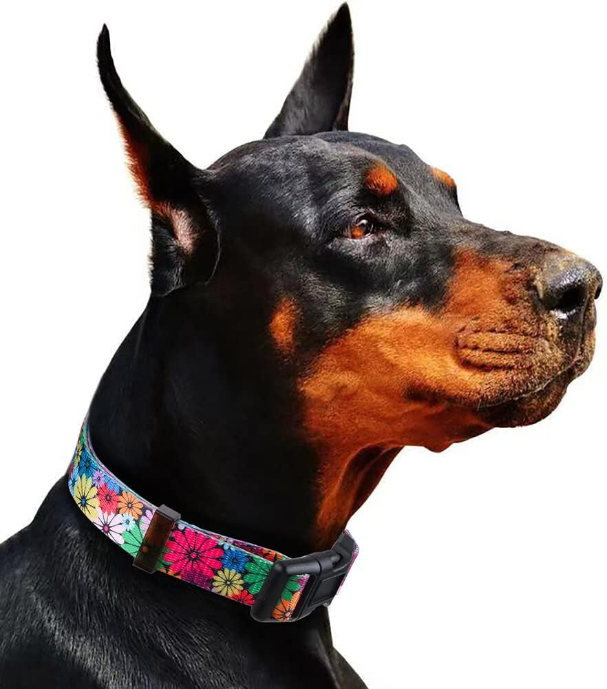 Dog Collar for Small, Medium & Large Dogs – Adjustable Floral Pattern Collar for Girl & Boy Dogs – Comfortable & Durable with Safety Buckle & D-Ring (Medium: Neck 13.1"-19", Width 3/4")