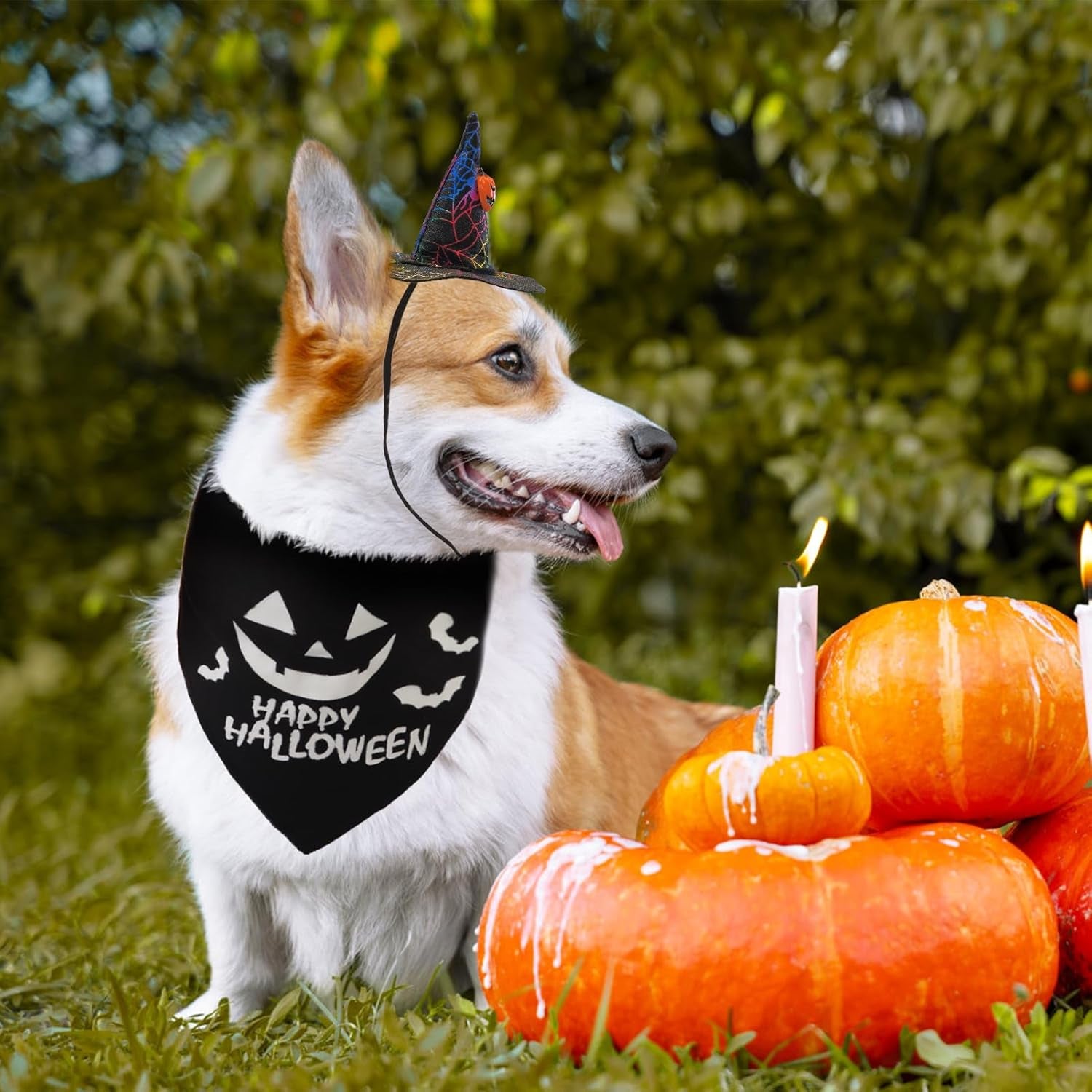 Dog Halloween Bandana & Wizard Hat Set – Cute Pumpkin Costume Accessories for Small, Medium & Large Dogs | Funny Luminous Print Scarf & Adjustable Hat for Boy & Girl Pets (Black)