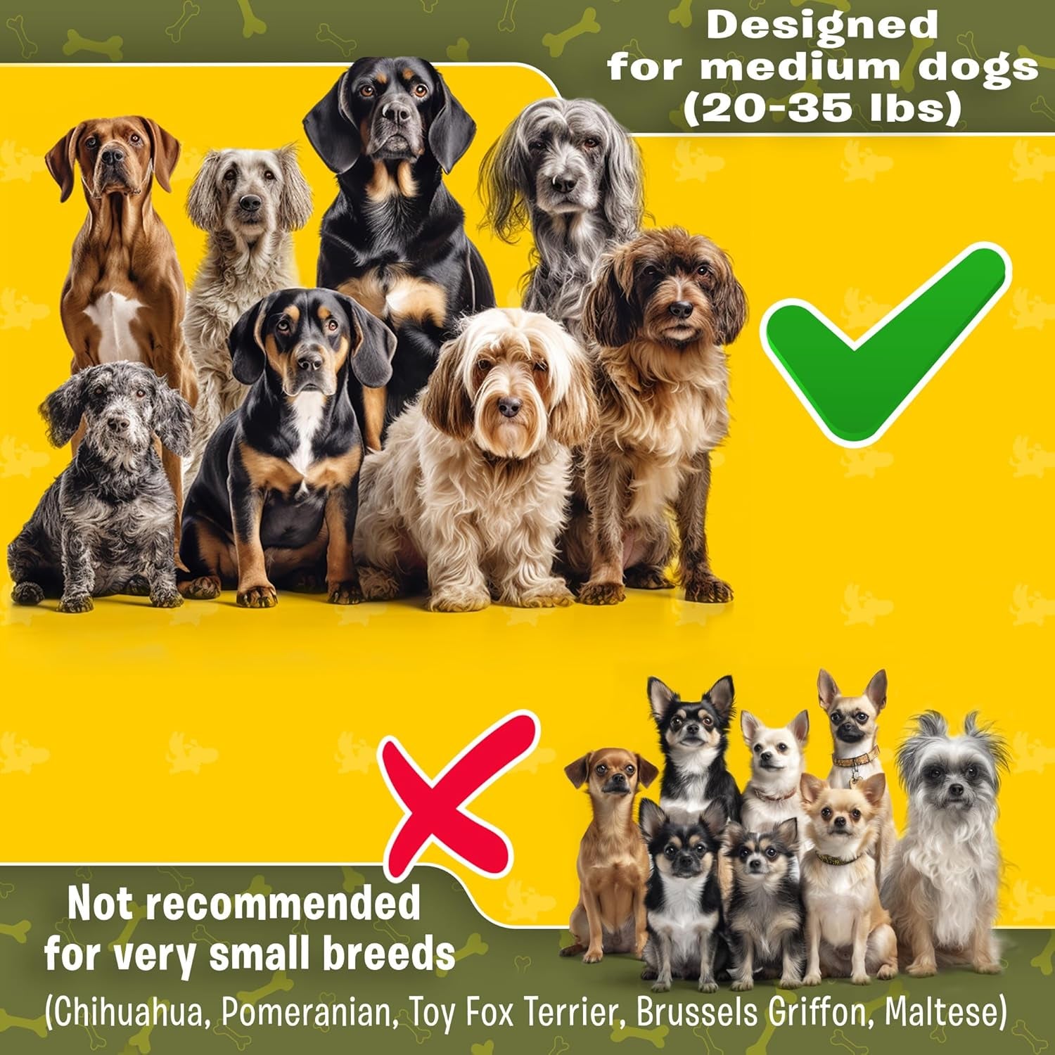 Hands-Free Dual Dog Leash with Waist Belt – No-Tangle Bungee Lead for Walking, Running, and Training Two Medium Dogs (Dark Grey & Pink)